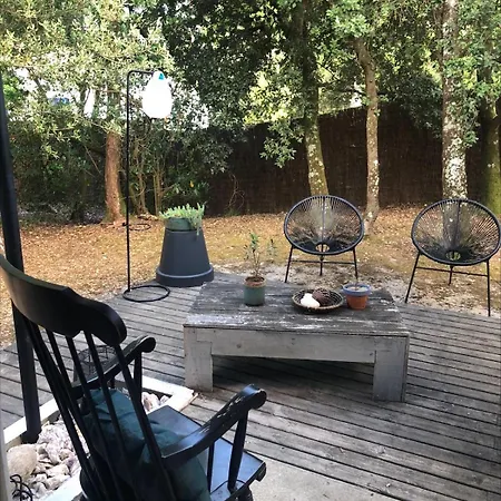 Séquoia Sur Hébergement de vacances Soulac-sur-Mer